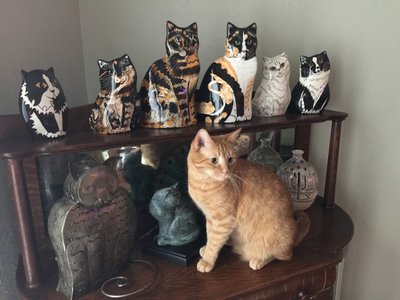 Nipper Hiding in Plain Sight