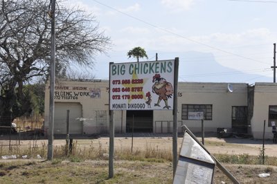 20090815064431 - Big Chickens Roadside Shop Sign