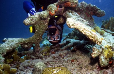 Bonaire 99   Shane Upside Down