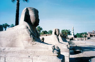Luxor Temple Sphinxes